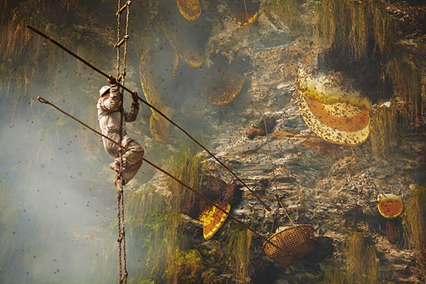The Ancient Tradition of Honey Hunting in Nepal
